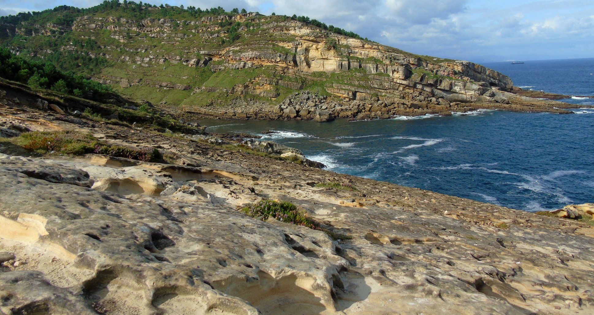 40187737_10214471949264051_249546597854085120_o