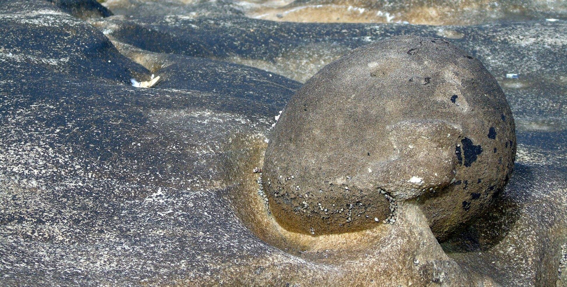 40226622_10214471949784064_7846263487188697088_o