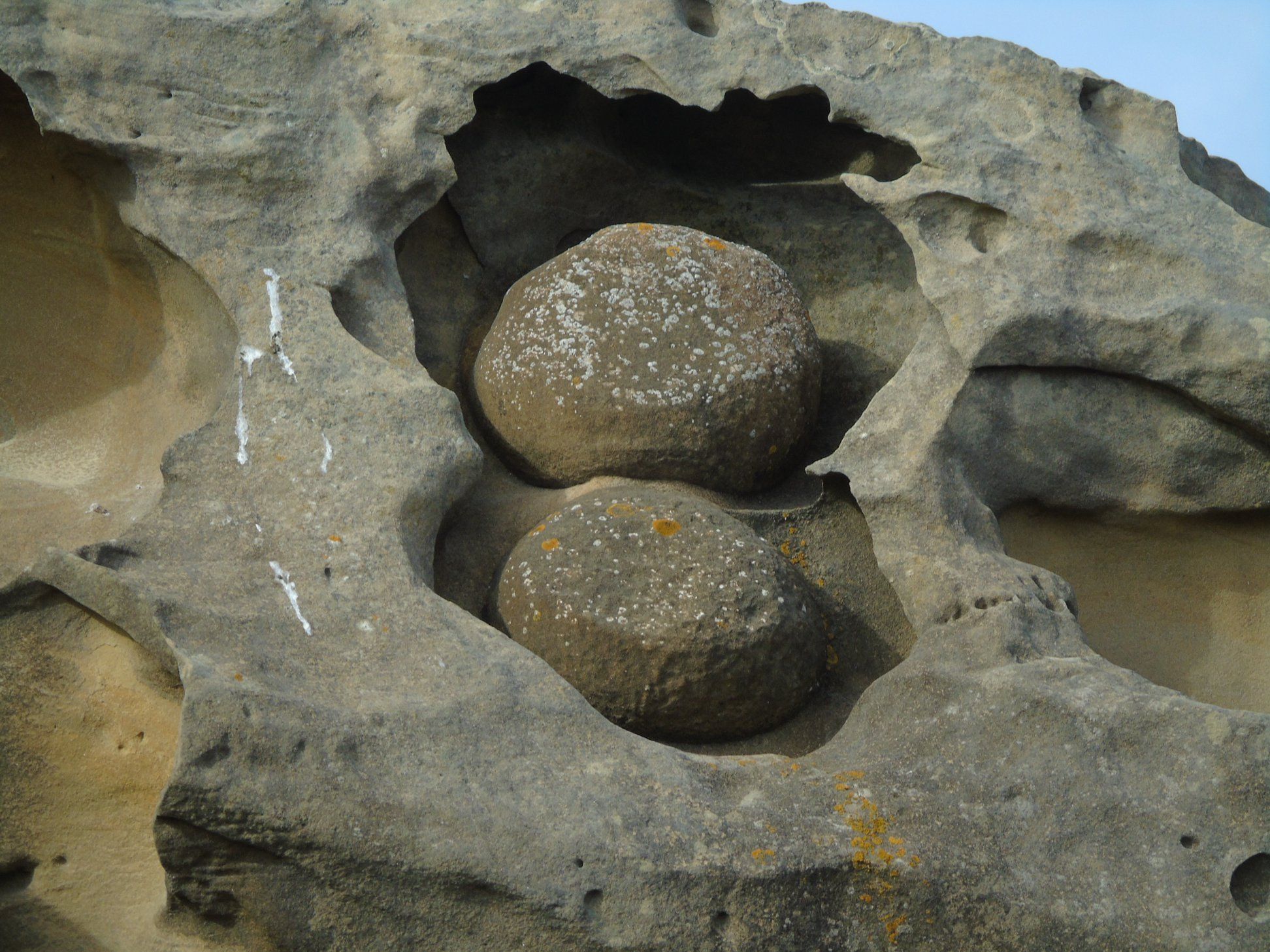 40243202_10214471952464131_4388689448108294144_o