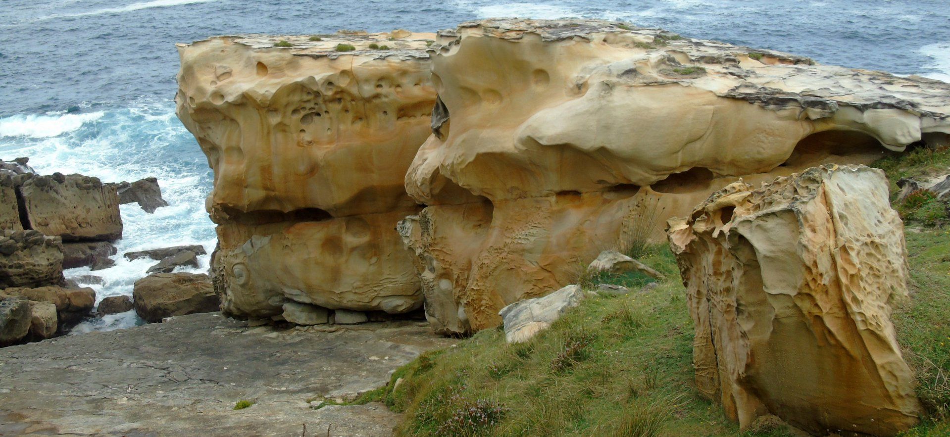 40290519_10214471956344228_6275692894498062336_o