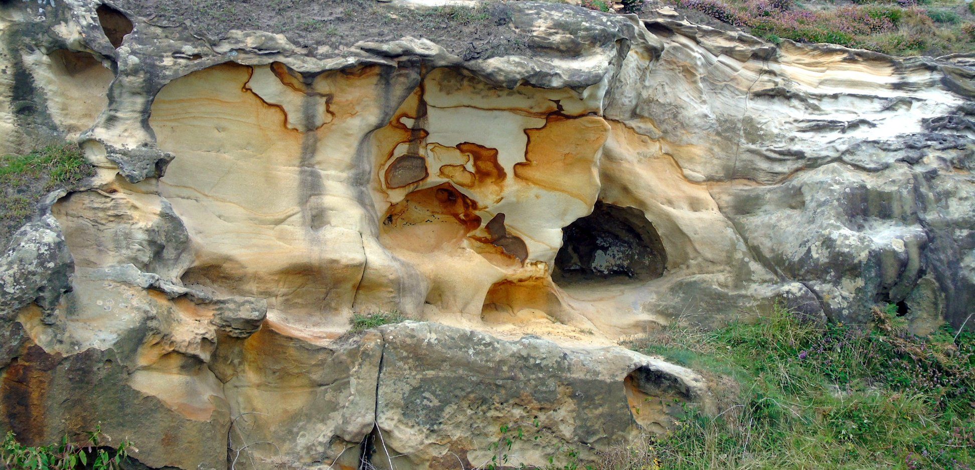 40317215_10214471956304227_7530432212378845184_o