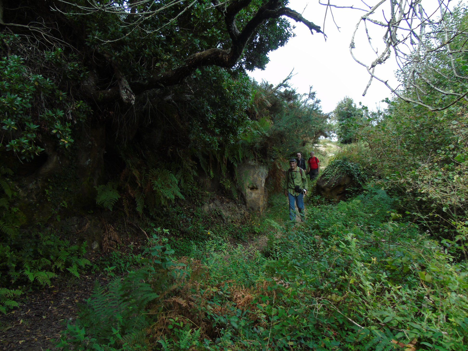 40326733_10214471960184324_3293374544546365440_o