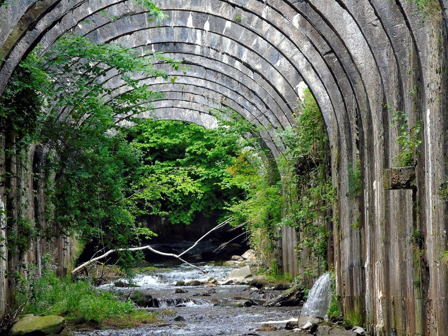 16179531_10209948098810617_3437595940786665036_o