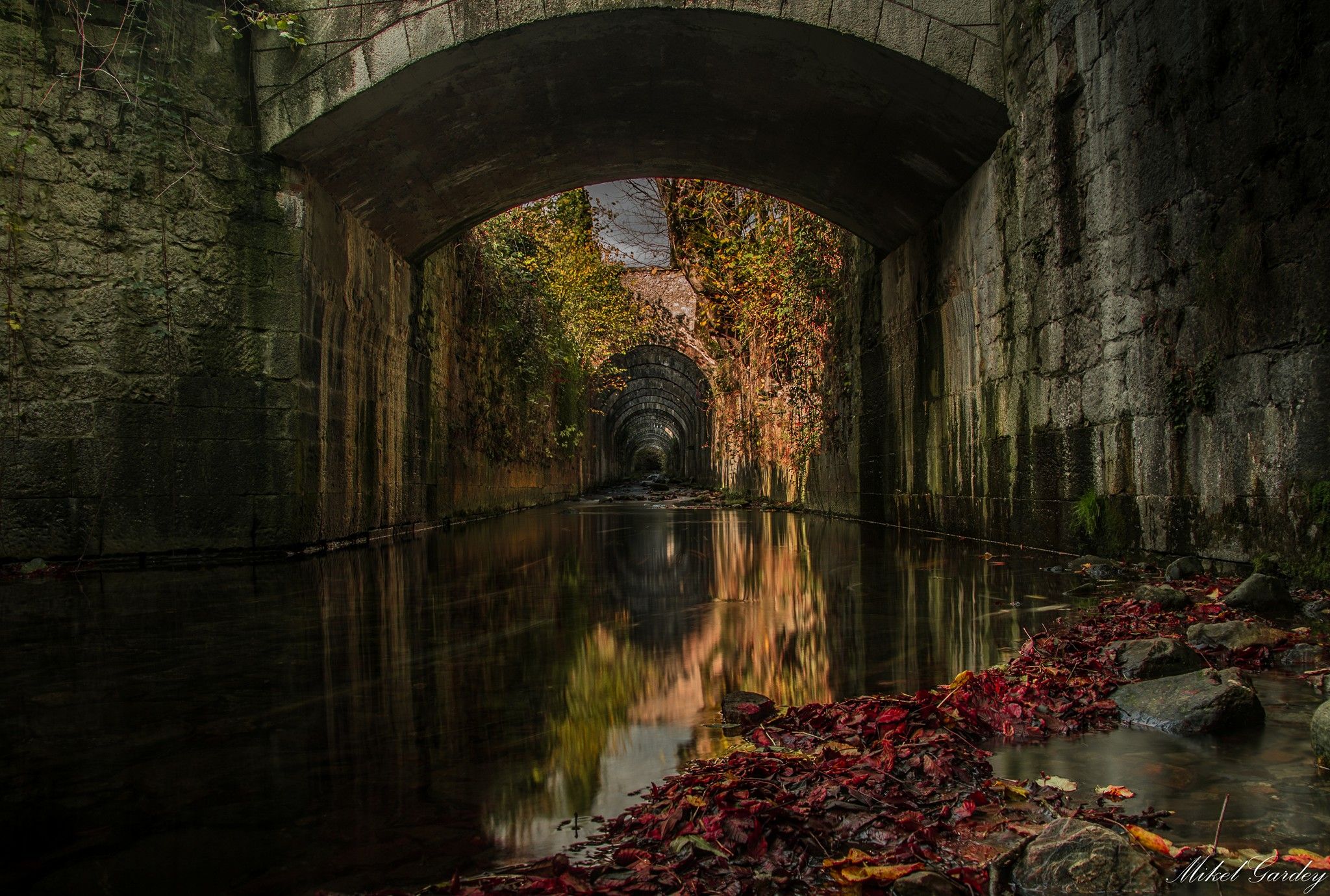 23157337_10213820930734470_4650423182934430167_o