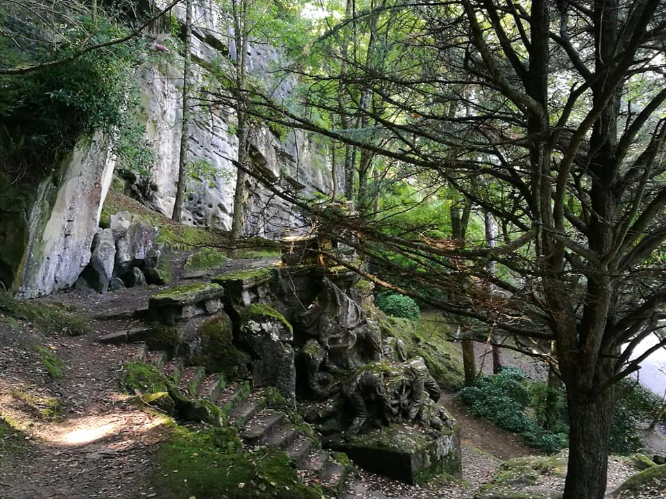 40457785_10214504634721167_5544153788102737920_n (1)