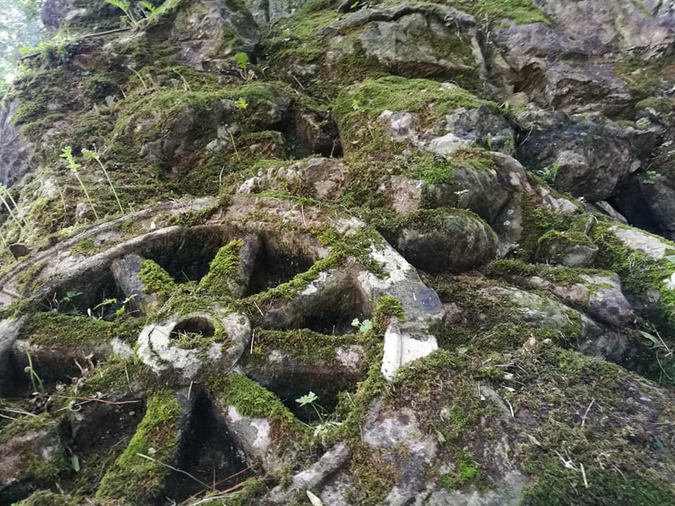 40500772_10214504637121227_1465065605827657728_n – copia