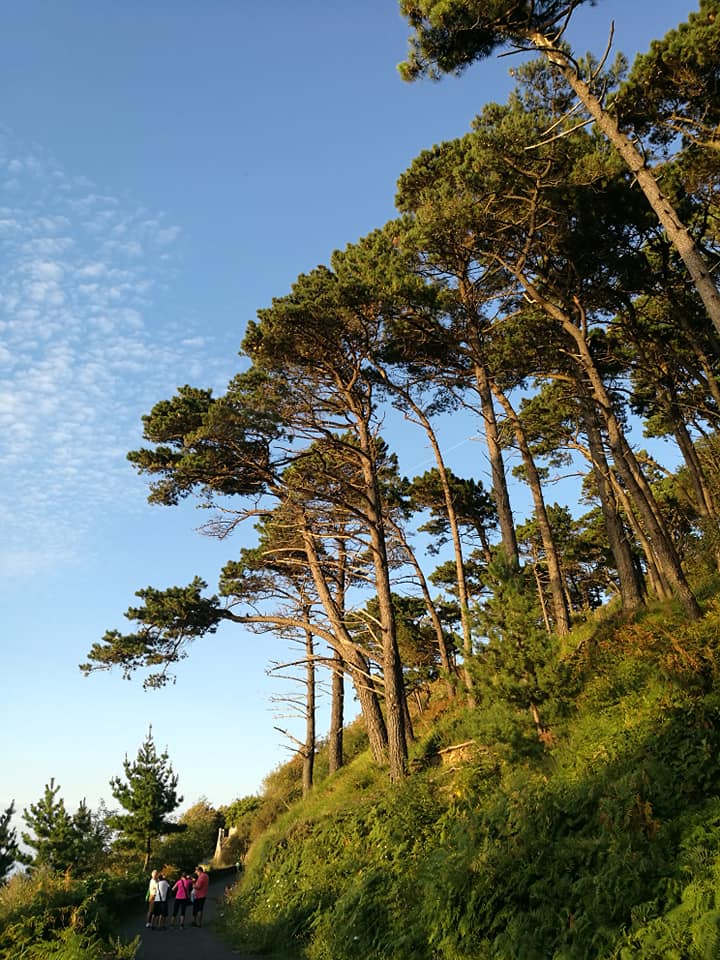 40562149_10214516885307424_3490009743768944640_n