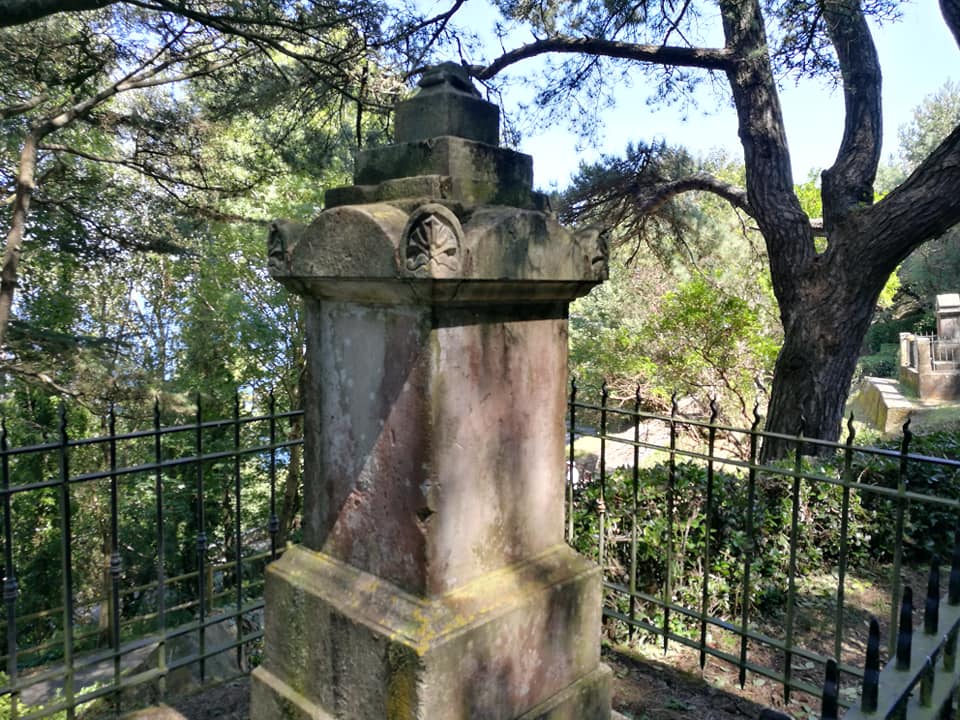 40562571_10214504638401259_5624463891216990208_n