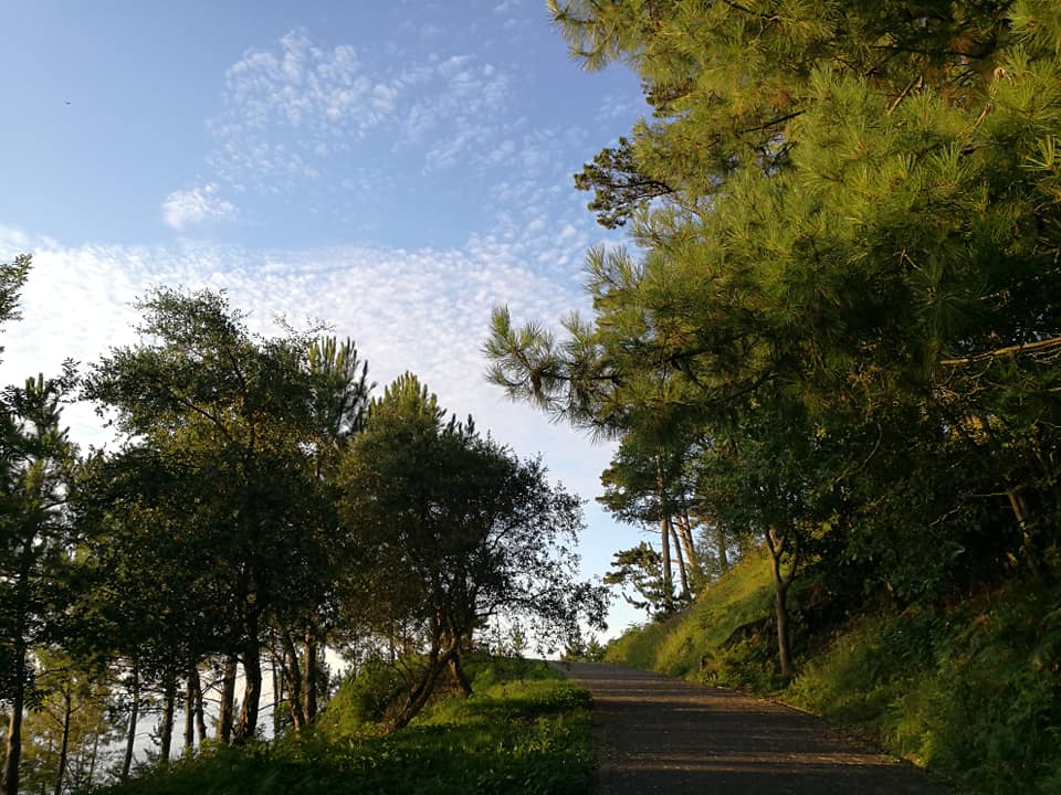 40563689_10214516885027417_6341517919758843904_n