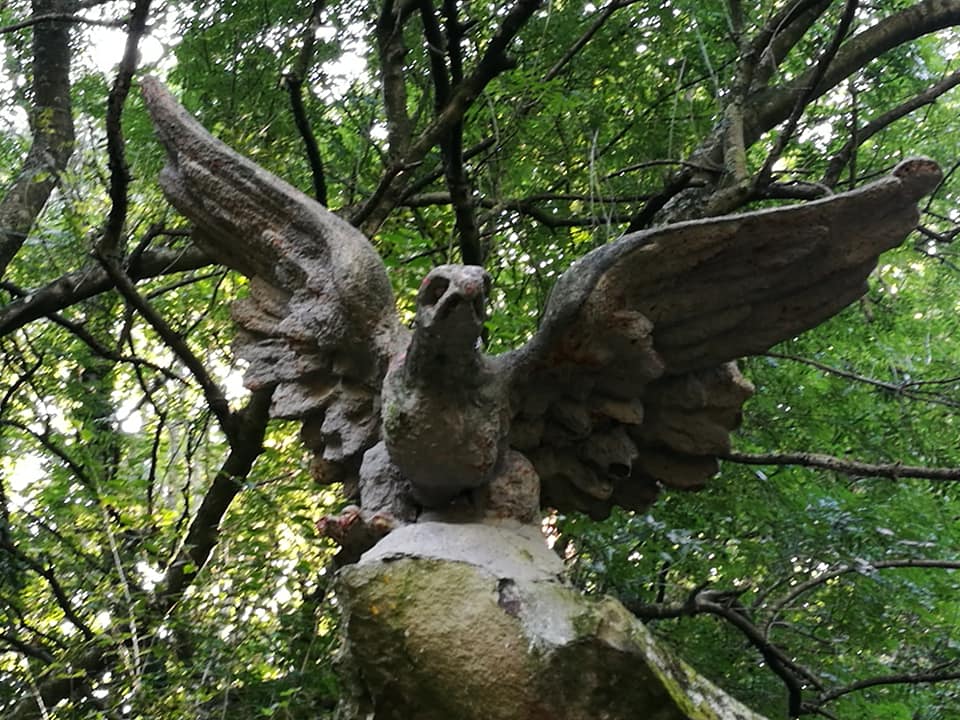 40570669_10214504635241180_8522157495513251840_n