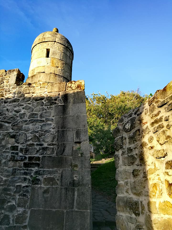 40638085_10214516887547480_8229623235713433600_n