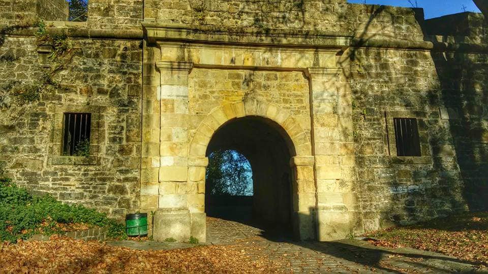 40654869_10214516888547505_3064057650678333440_n