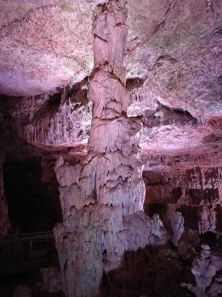 41912098_10214621543483813_7102912546419507200_n