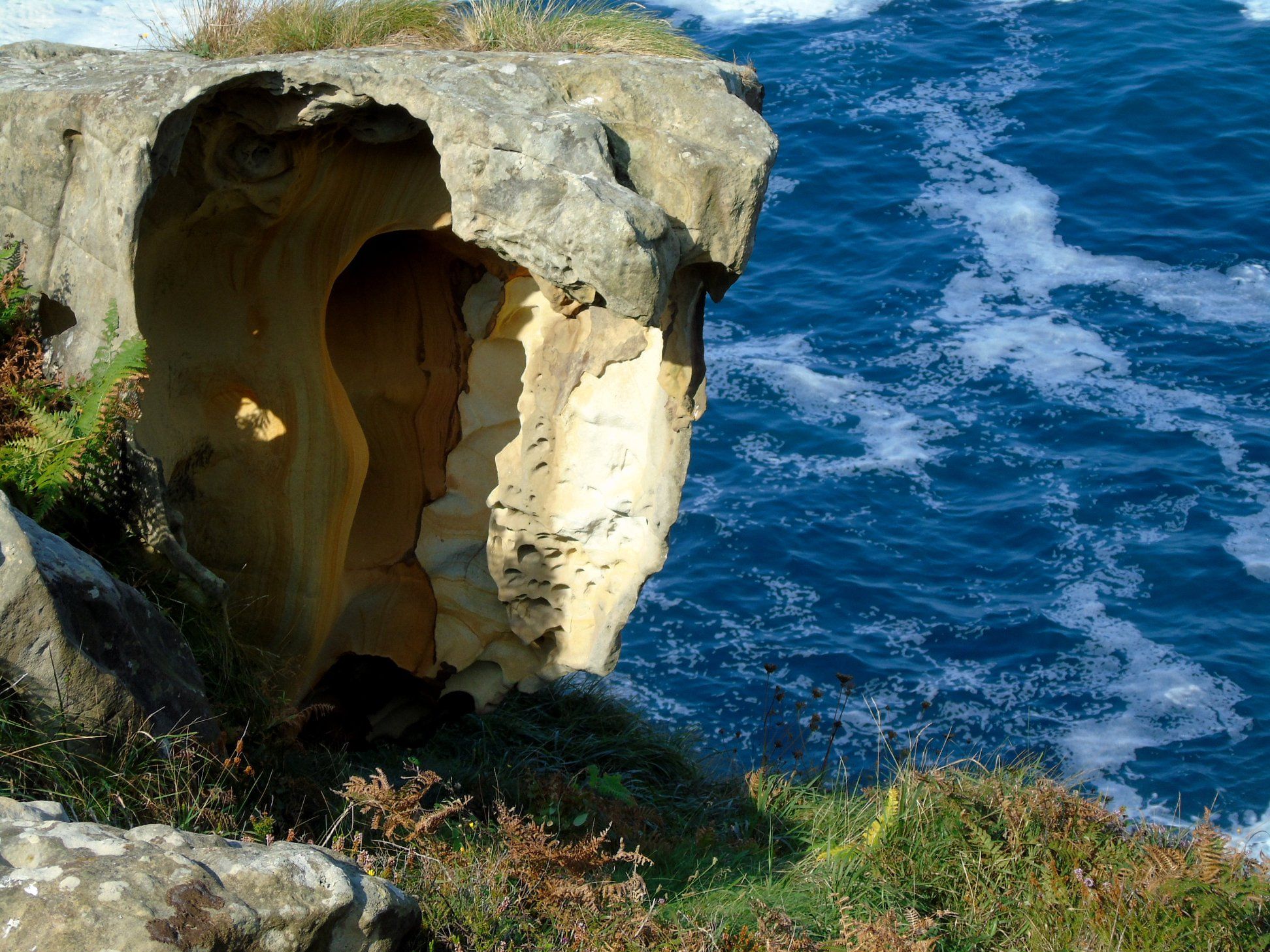 41952338_10214636483217297_8173911127562911744_o