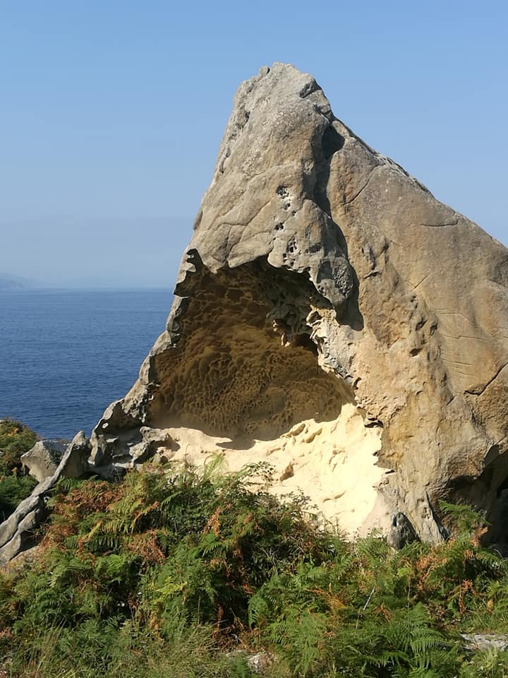 41962060_10214636271332000_6276801129204416512_n