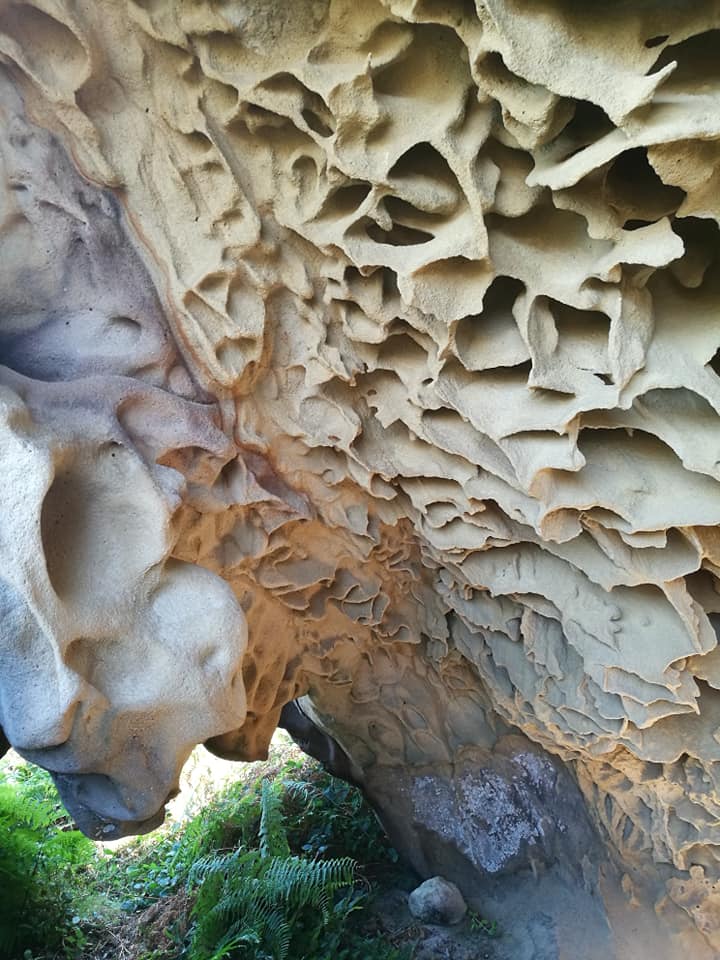 42092500_10214636270771986_1363234001413734400_n