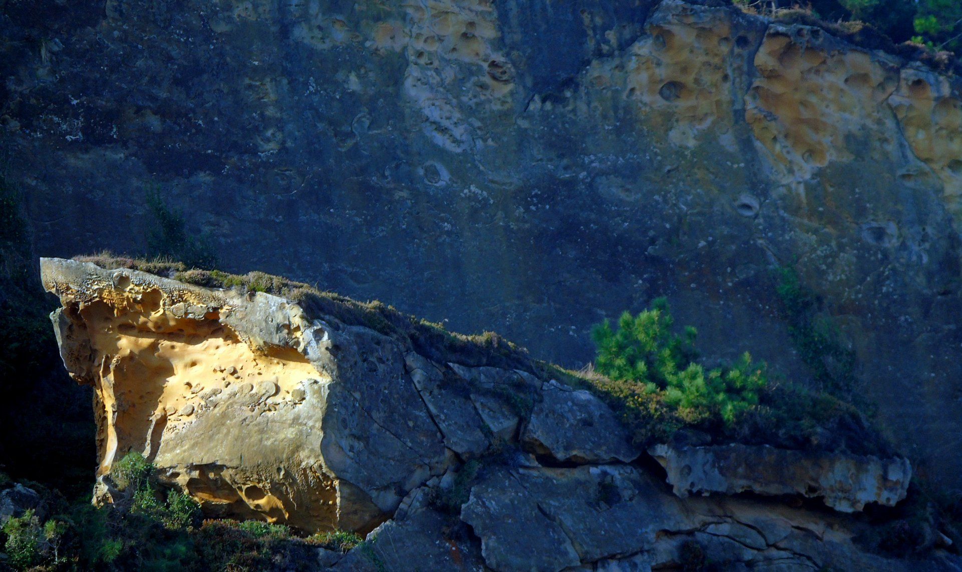 42099707_10214636480417227_2750665444846206976_o