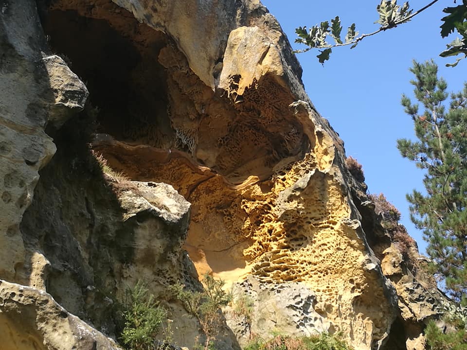 42099776_10214636273892064_8705920269727825920_n