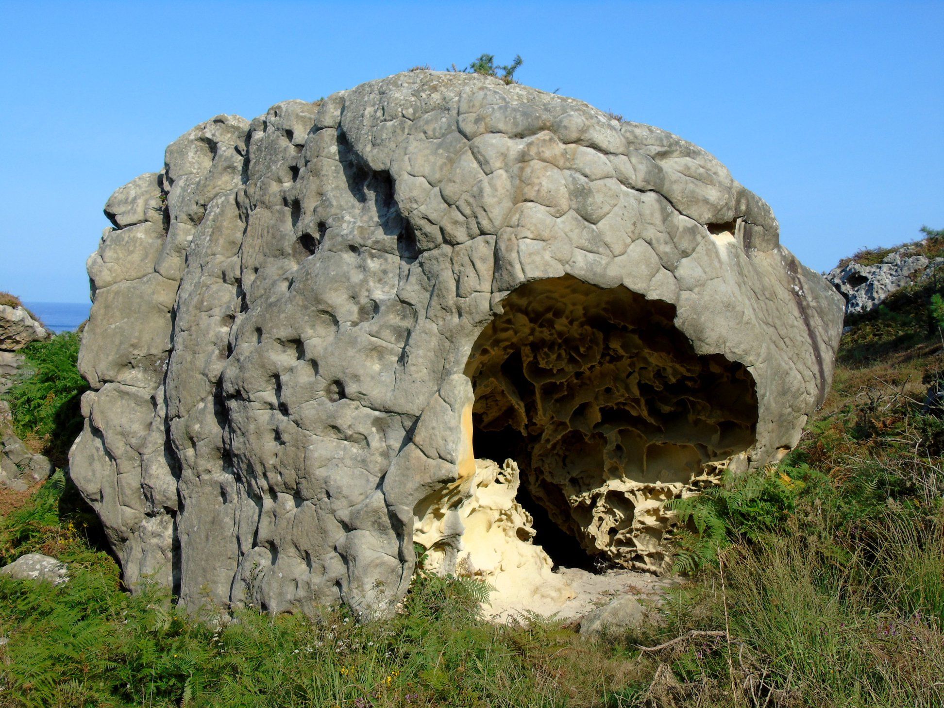 42114572_10214636480697234_4167119833428656128_o