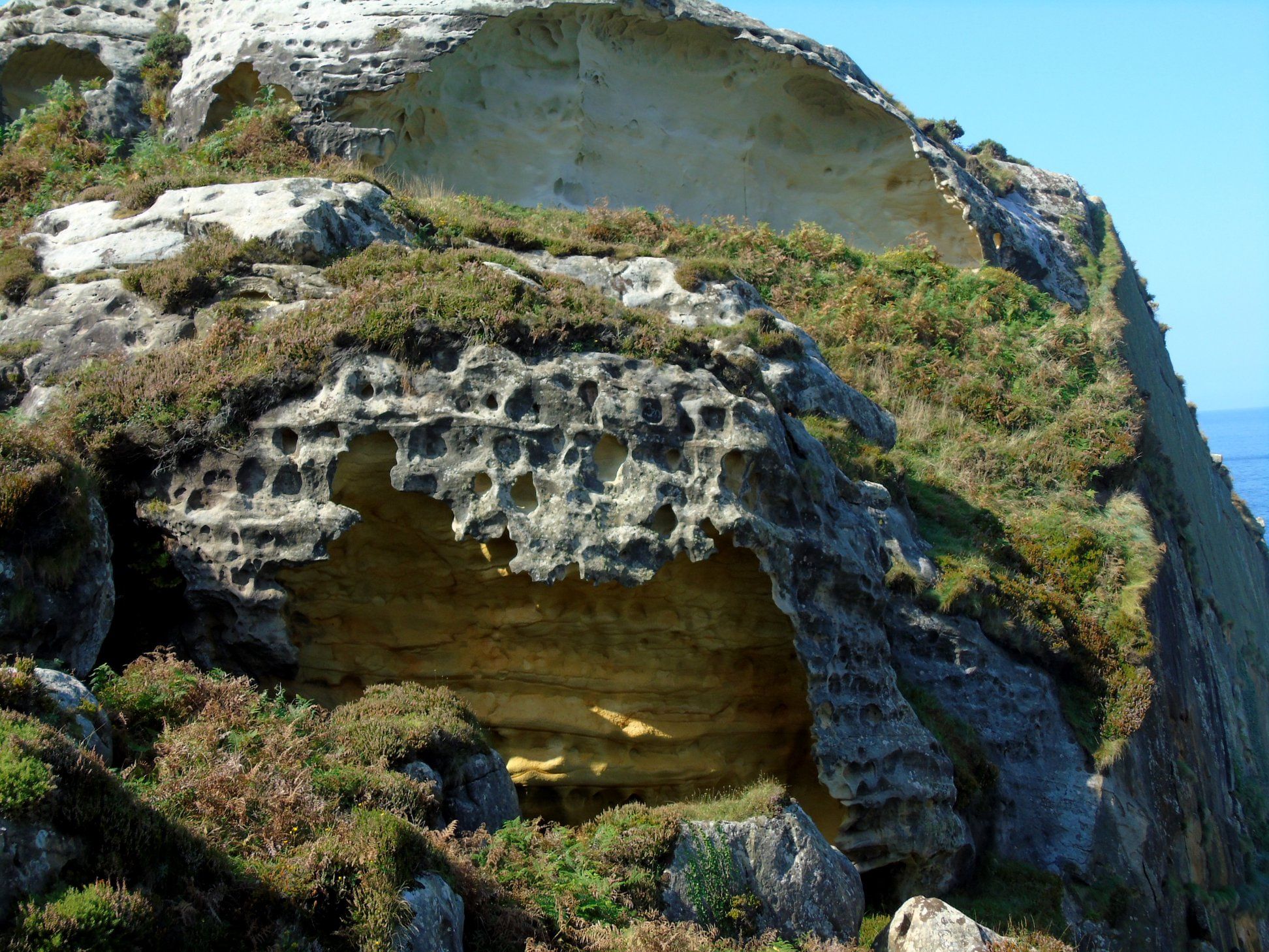 42119028_10214636483417302_6382437224239071232_o