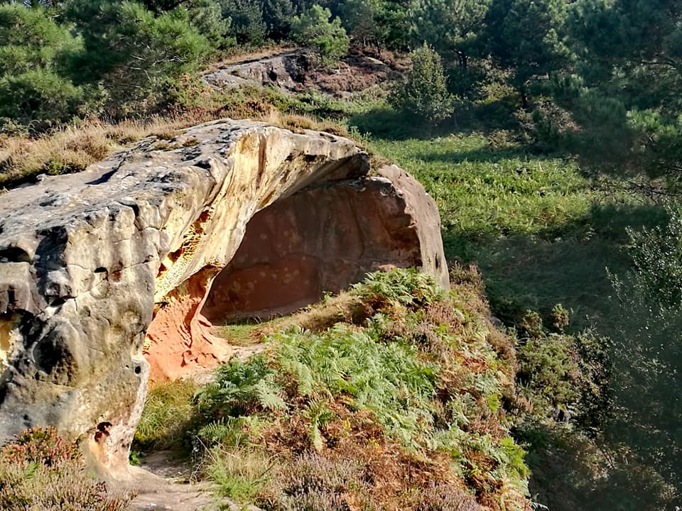 42141800_10214636275932115_748572396935446528_n