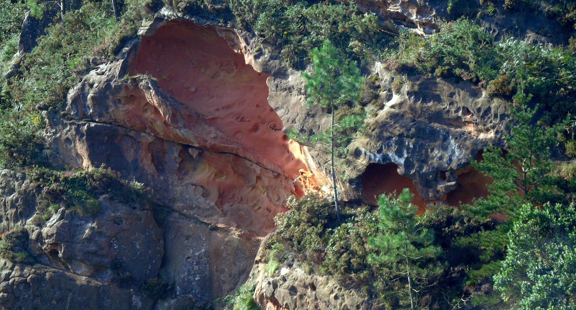 42196433_10214636478057168_2754380540017639424_o