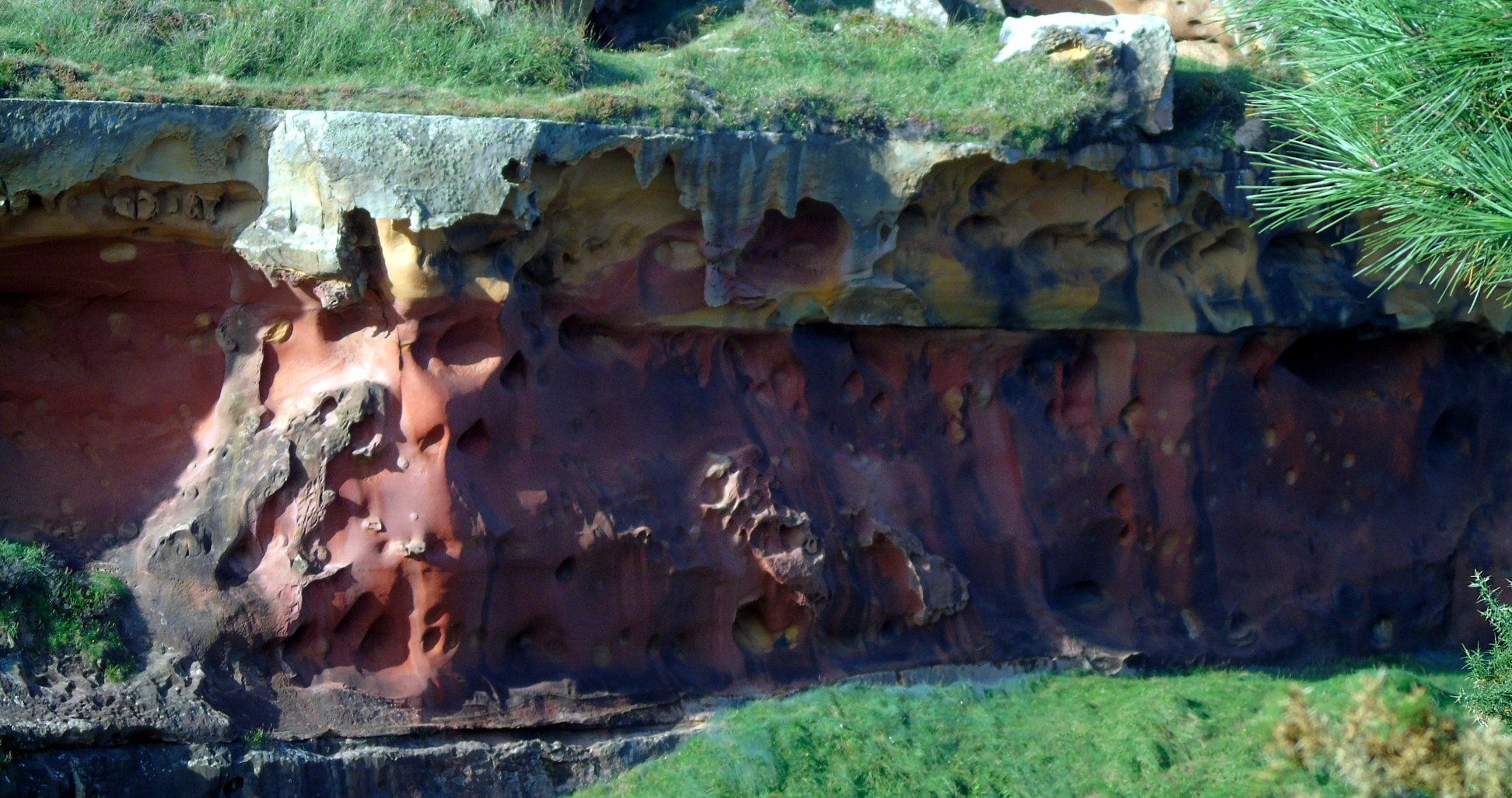 42237537_10214636477257148_5525265118935384064_o