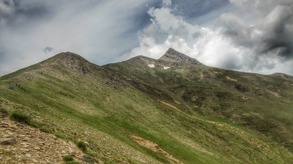 13394075_10207945961558437_6590184904400486624_n