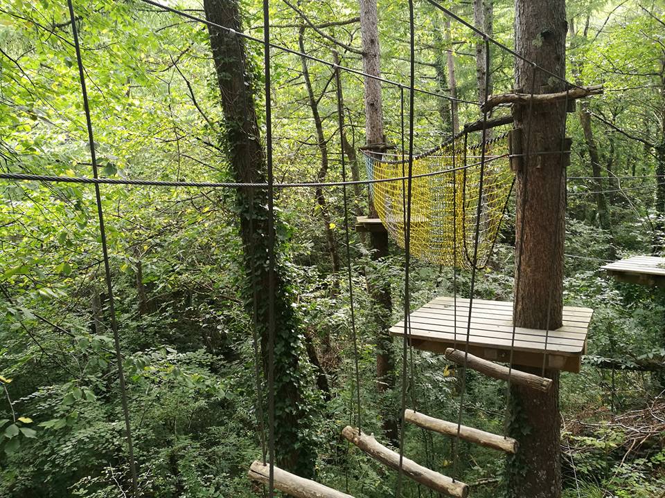 20622304_10211823218887447_5107788393149737953_n