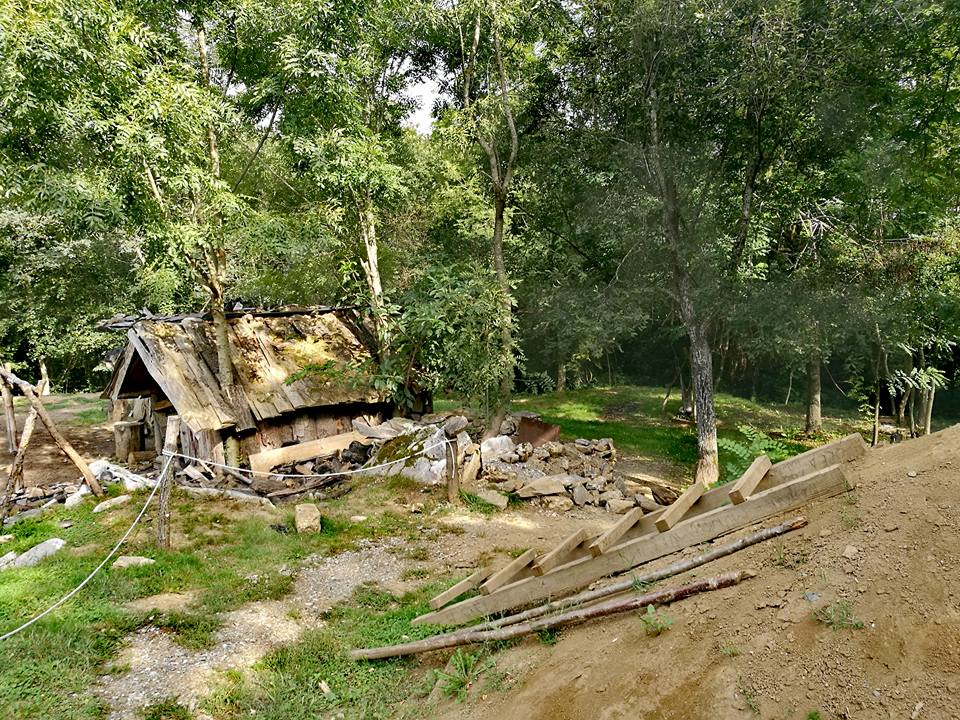 20993835_10211823215567364_8284410105216070907_n