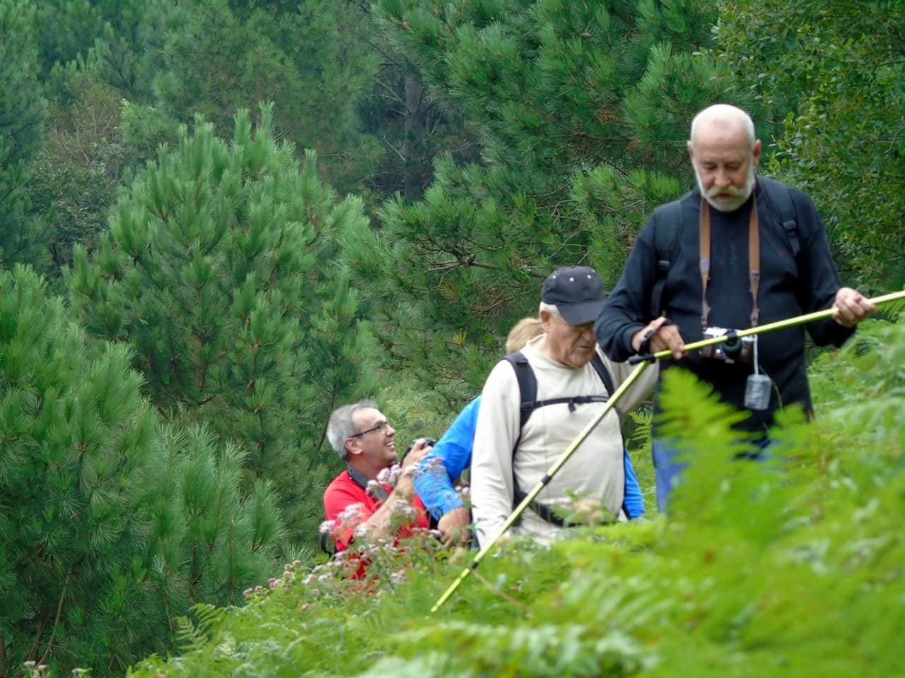 43015991_10214733645646297_4211464692155023360_o