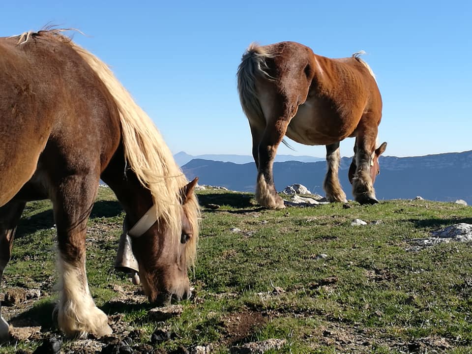 43724174_10214874802975142_8527753988223795200_n