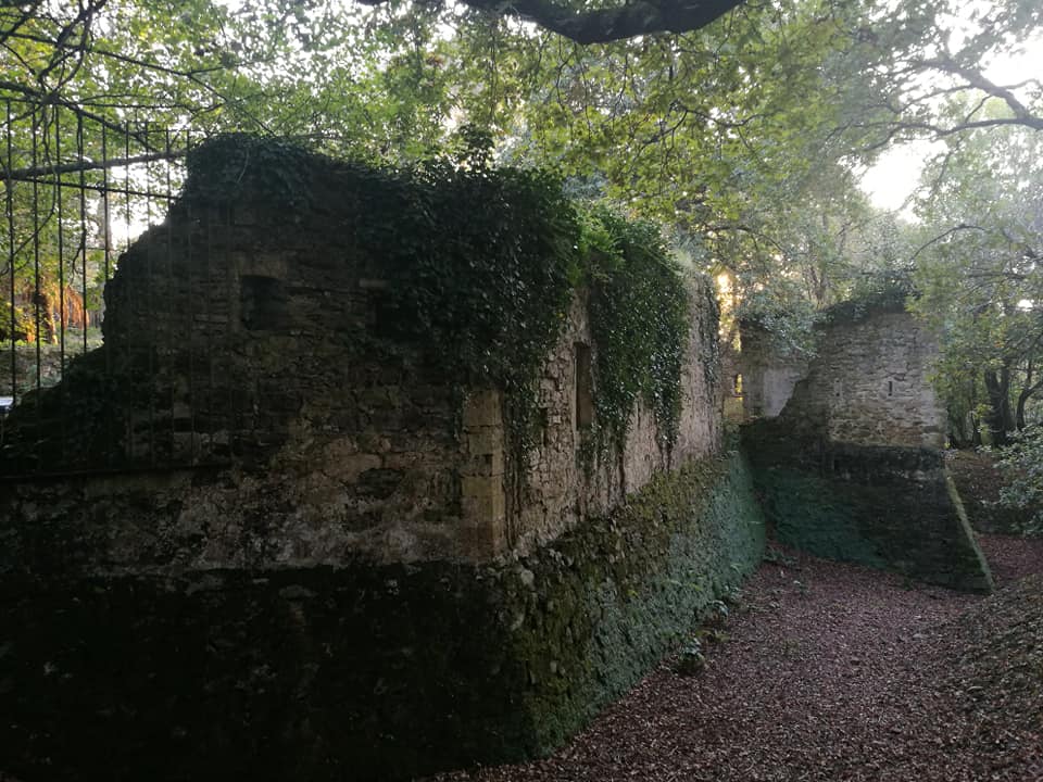 43745320_10214874884217173_2041402706022629376_n