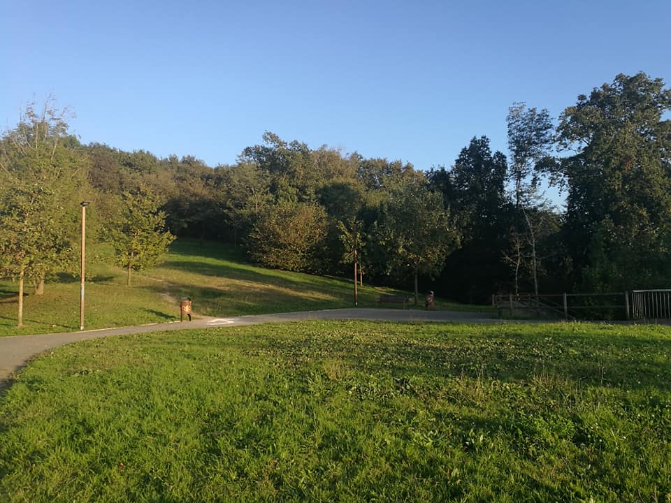 44669948_10214874881657109_8619414848087785472_n