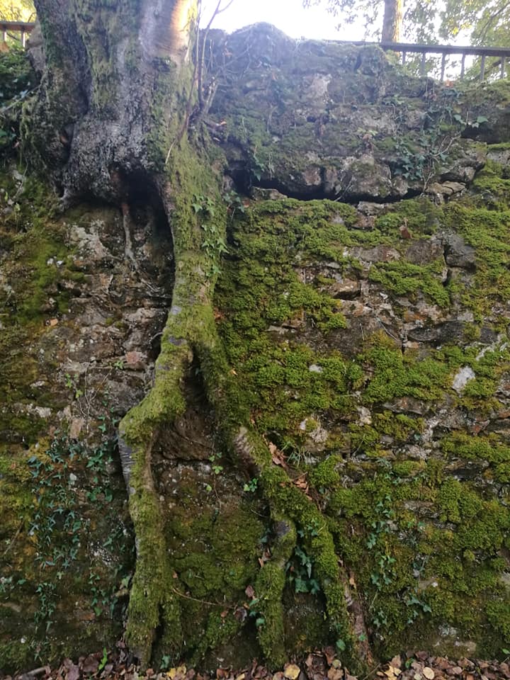 44678937_10214874885937216_2192032496198090752_n