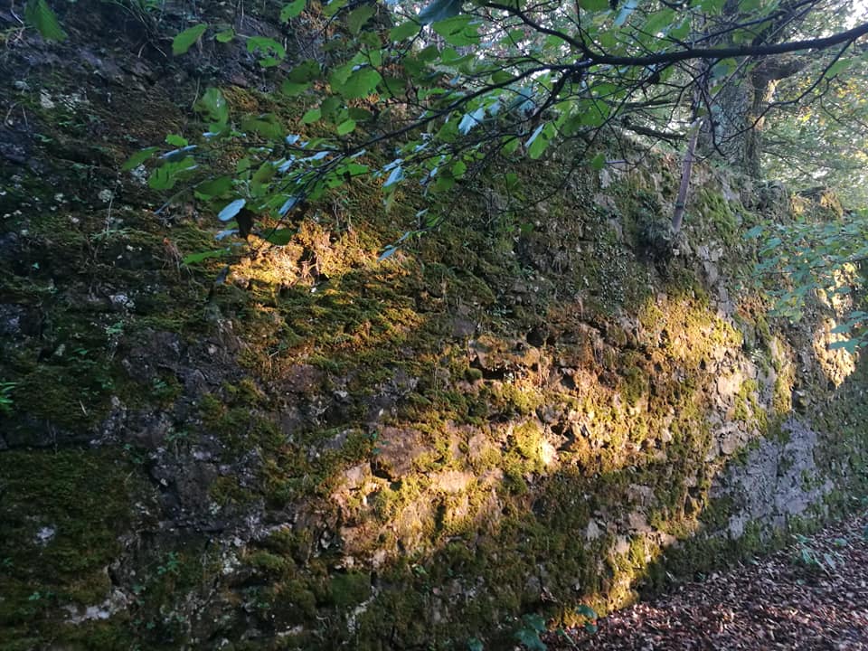 44679988_10214874885177197_5046915983906701312_n