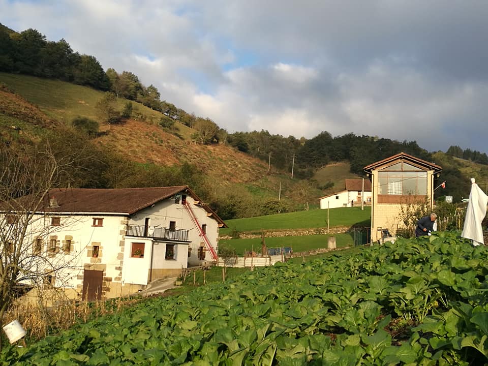 44686427_10214874824655684_3581430094054293504_n