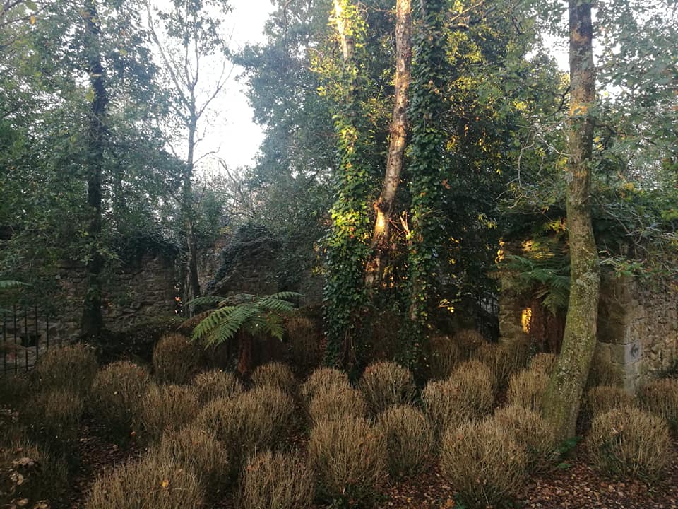 44715830_10214874883657159_4389706775536861184_n