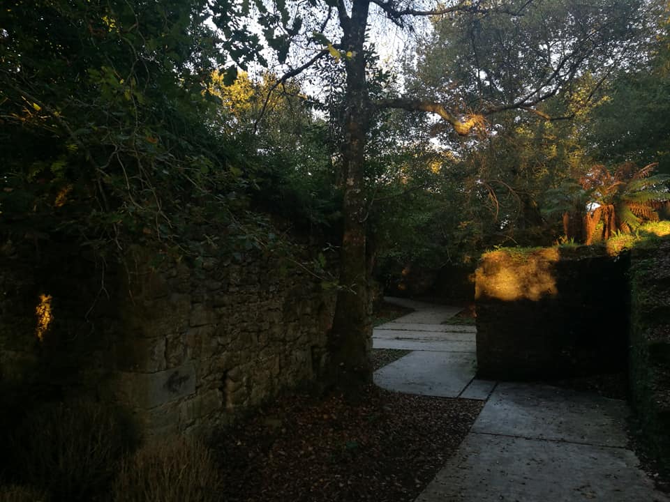 44723380_10214874886257224_2553912335886450688_n