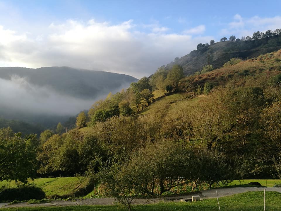 44731948_10214874825655709_5629720600474812416_n