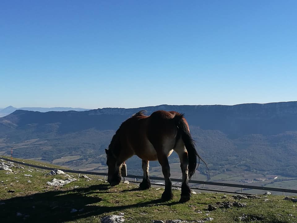 44771176_10214874800015068_1626995622462619648_n