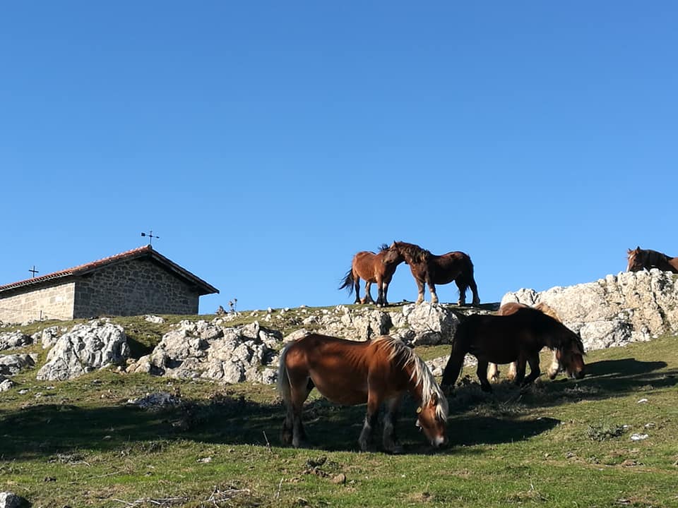 44776213_10214874809375302_4790607857693229056_n