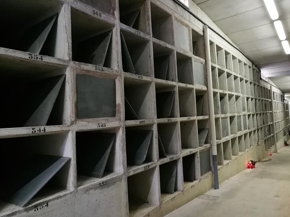 45103378_10214927445931183_7913010796546752512_n