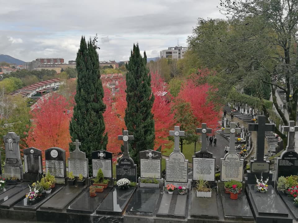 45120034_10214927453851381_546239747501064192_n