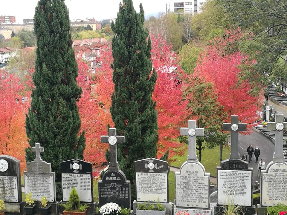 45144622_10214927453371369_6174941951100452864_n