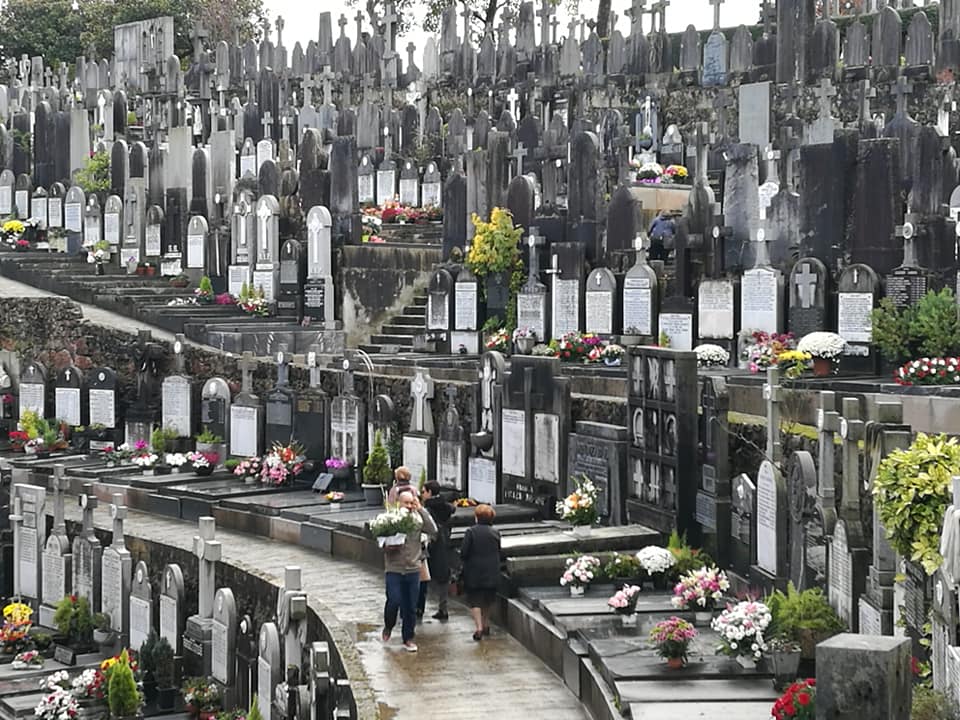 45153974_10214927450731303_4489302931077595136_n