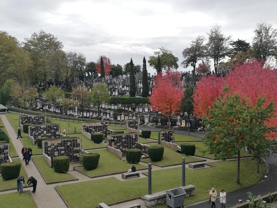 45154485_10214927469131763_5421348209115004928_n