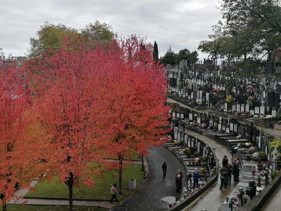 45175802_10214927454611400_2223745216156794880_n