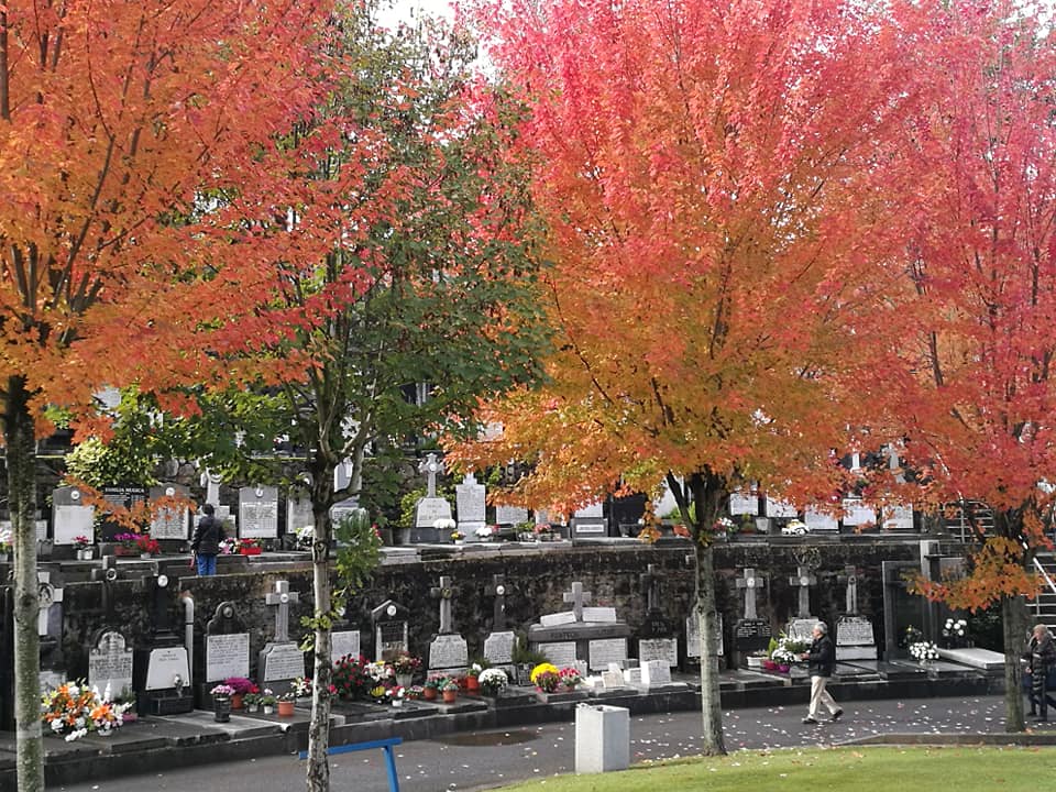 45188688_10214927444931158_1426270987309023232_n