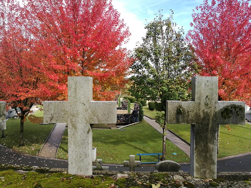 45231184_10214927449011260_7628691323125497856_n